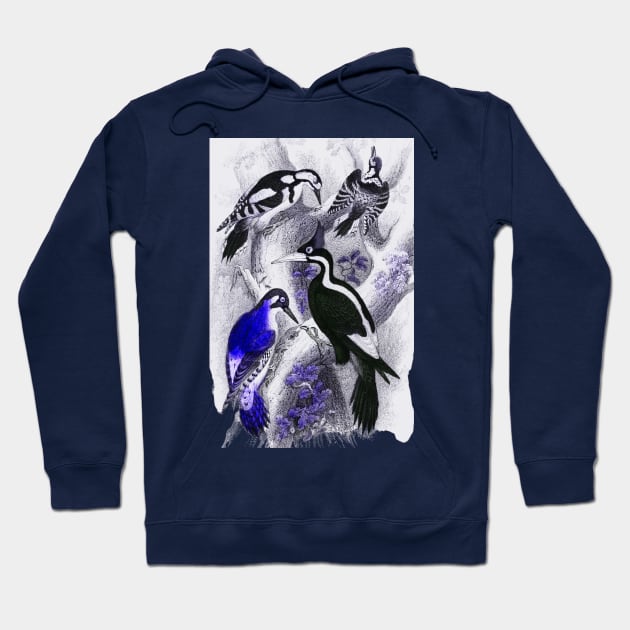 Woodpeckers Hoodie by MinnieWilks